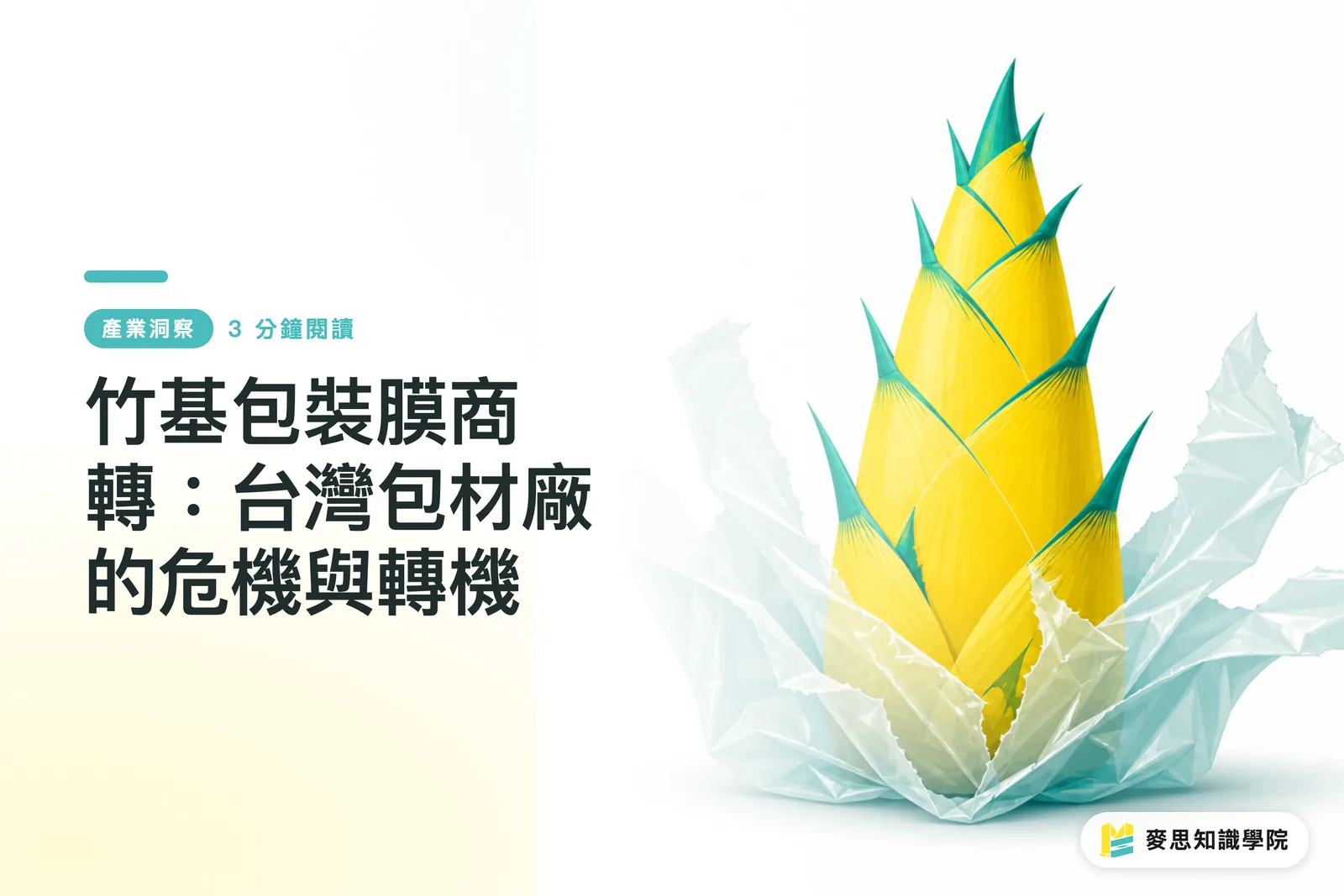 Komersyalisasyon ng Bamboo-based Packaging Film: Krisis at Oportunidad para sa mga Pagawaan ng Packaging sa Taiwan