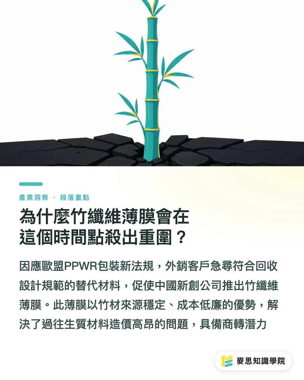為什麼竹纖維薄膜會在這個時間點殺出重圍？｜竹基包裝膜商轉：台灣包材廠的危機與轉機 段落重點